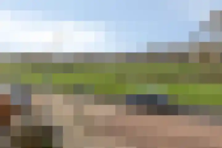 Hofkesweg 13 Heenvliet thumbnail 49
