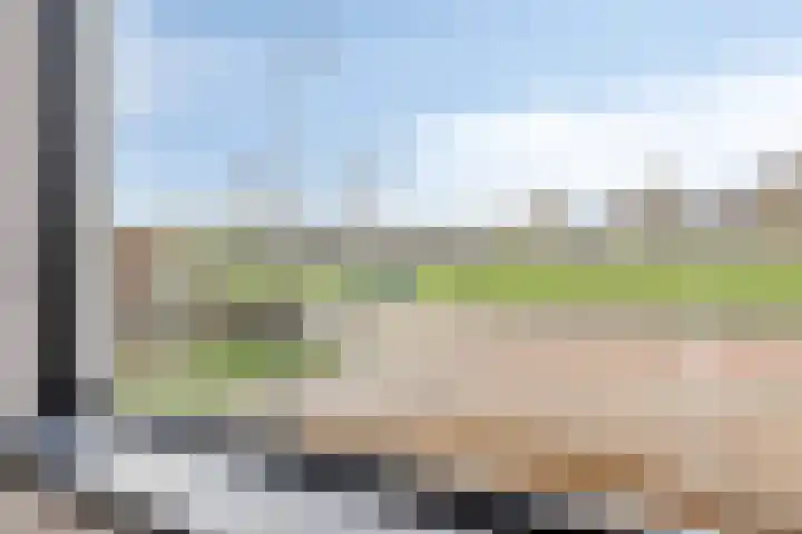Hofkesweg 13 Heenvliet thumbnail 5