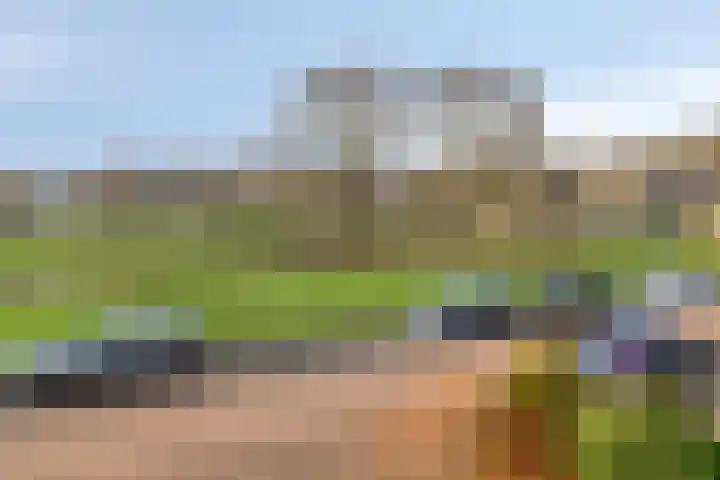 Hofkesweg 13 Heenvliet thumbnail 50