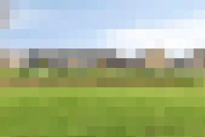 Hofkesweg 13 Heenvliet thumbnail 54