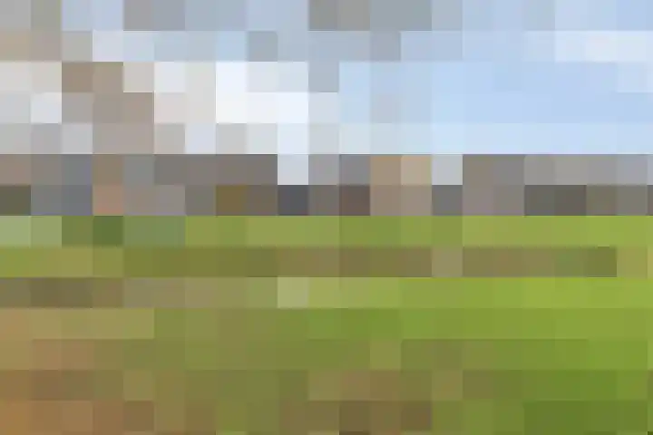 Hofkesweg 13 Heenvliet thumbnail 55