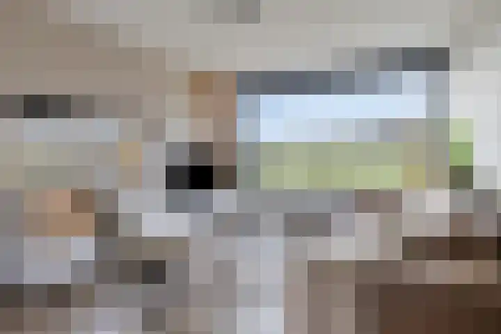 Hofkesweg 13 Heenvliet thumbnail 7