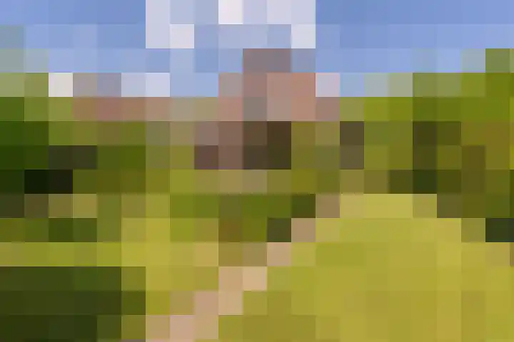 Hoflaan 10 Mijnsheerenland thumbnail 10