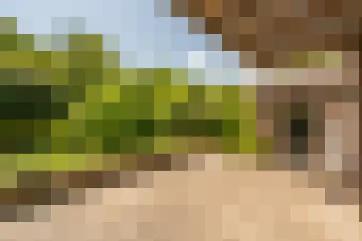 Hoflaan 10 Mijnsheerenland thumbnail 11