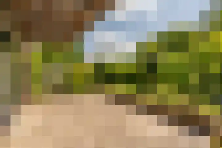 Hoflaan 10 Mijnsheerenland thumbnail 12