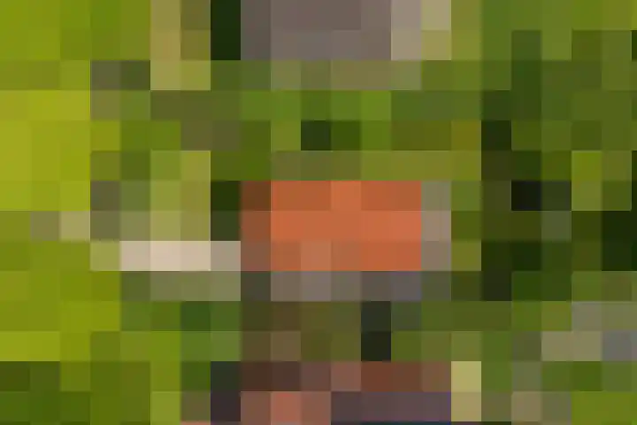 Hoflaan 10 Mijnsheerenland thumbnail 14