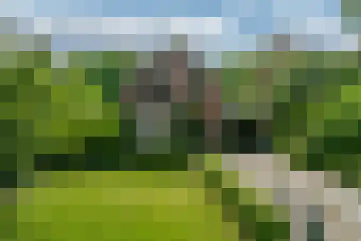 Hoflaan 10 Mijnsheerenland thumbnail 17