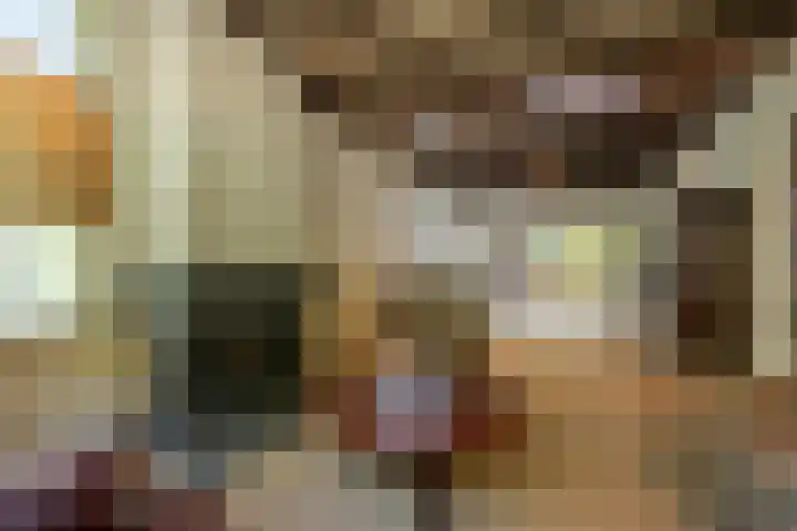 Hoflaan 10 Mijnsheerenland thumbnail 21