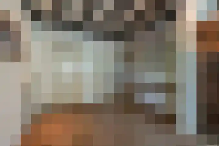 Hoflaan 10 Mijnsheerenland thumbnail 25