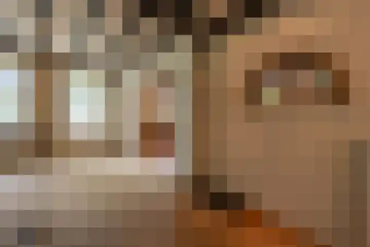 Hoflaan 10 Mijnsheerenland thumbnail 26