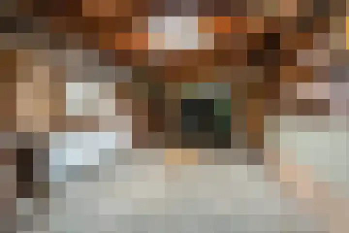 Hoflaan 10 Mijnsheerenland thumbnail 36