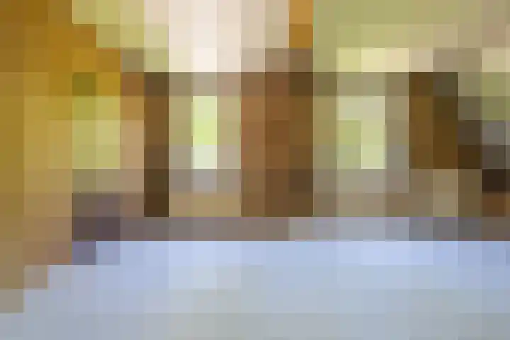 Hoflaan 10 Mijnsheerenland thumbnail 39