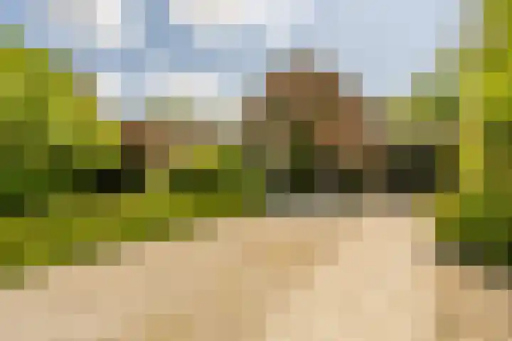 Hoflaan 10 Mijnsheerenland thumbnail 4