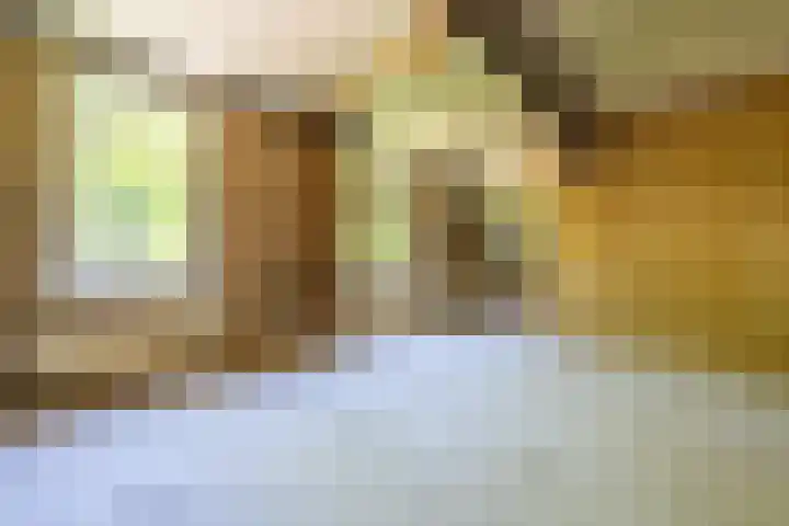 Hoflaan 10 Mijnsheerenland thumbnail 40