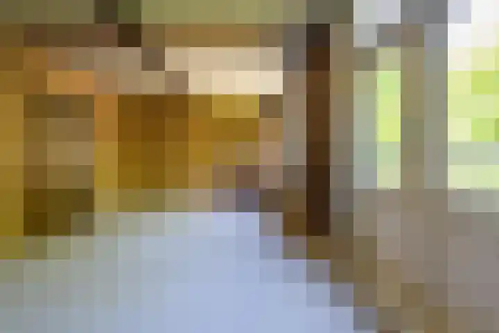 Hoflaan 10 Mijnsheerenland thumbnail 41