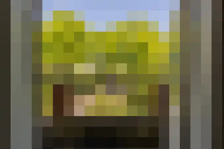 Hoflaan 10 Mijnsheerenland thumbnail 42