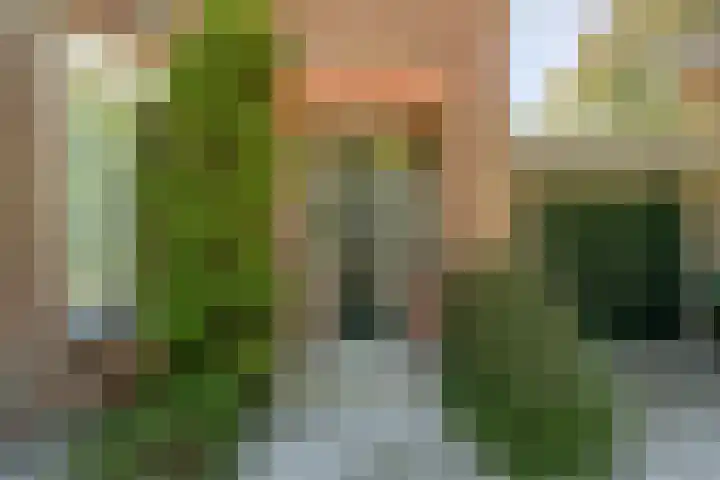 Hoflaan 10 Mijnsheerenland thumbnail 5