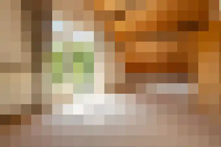 Hoflaan 10 Mijnsheerenland thumbnail 50
