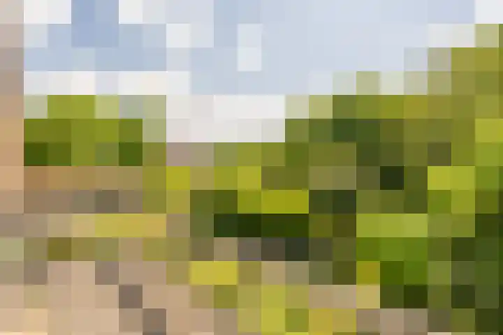 Hoflaan 10 Mijnsheerenland thumbnail 54