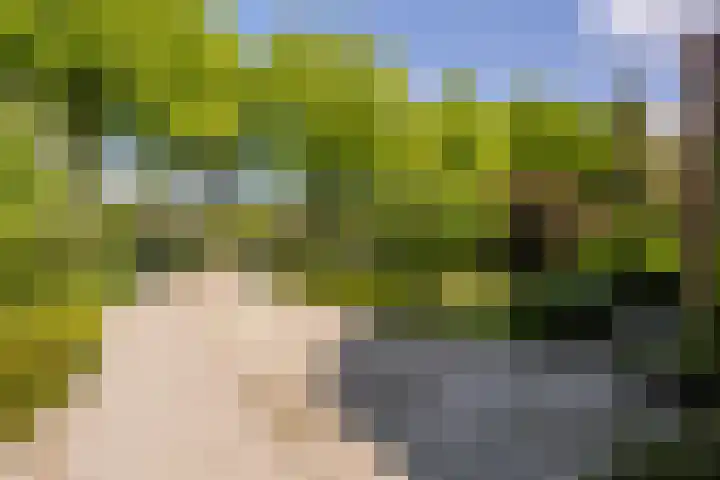 Hoflaan 10 Mijnsheerenland thumbnail 6