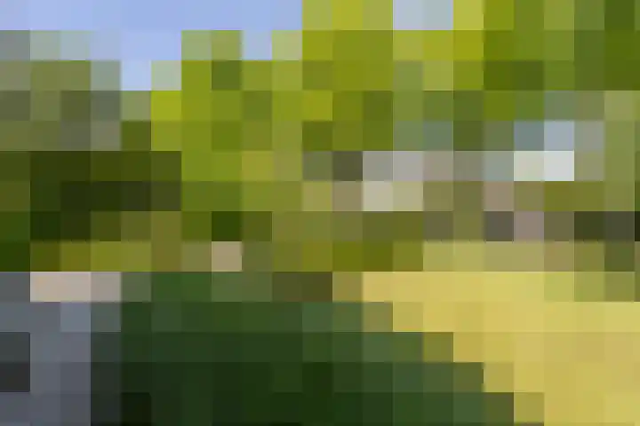 Hoflaan 10 Mijnsheerenland thumbnail 7