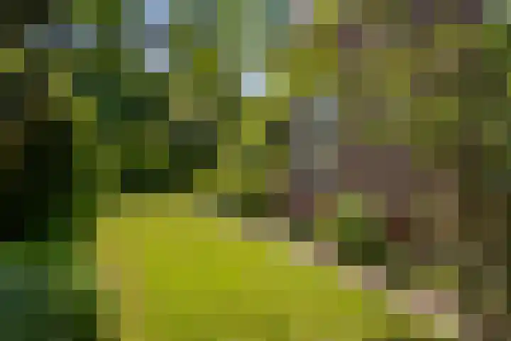 Hoflaan 10 Mijnsheerenland thumbnail 9