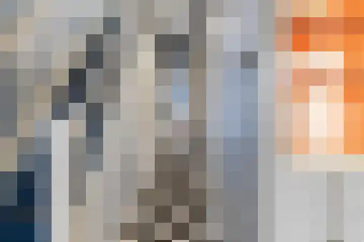 Hoflaan 101 Rotterdam thumbnail 11
