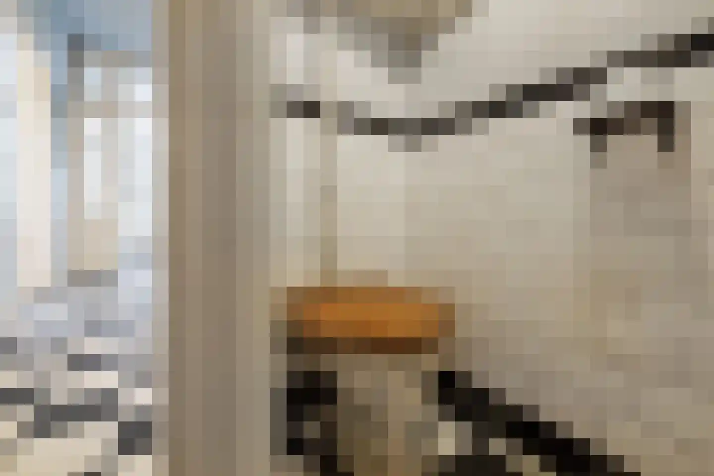 Hoflaan 101 Rotterdam thumbnail 34