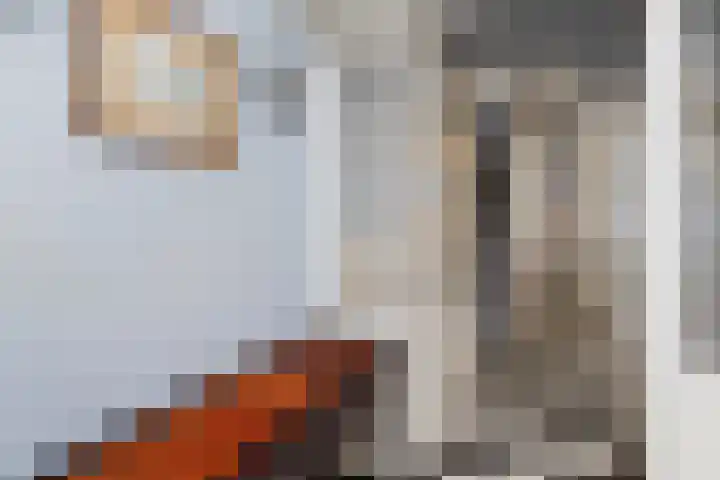 Hoflaan 101 Rotterdam thumbnail 9