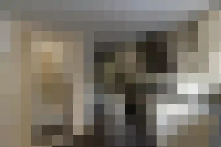 Hoflaan 107 Rotterdam thumbnail 16