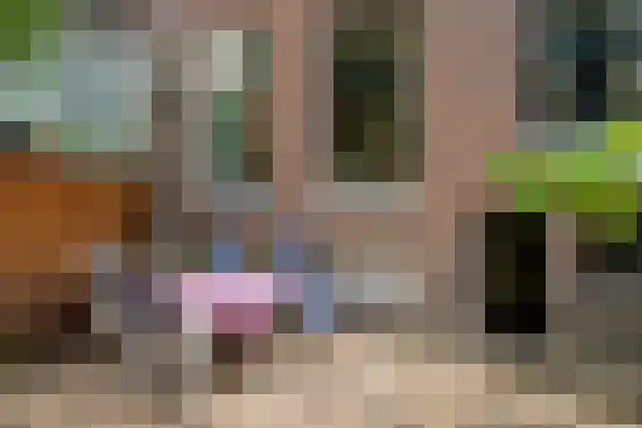 Hoflaan 107 Rotterdam thumbnail 4