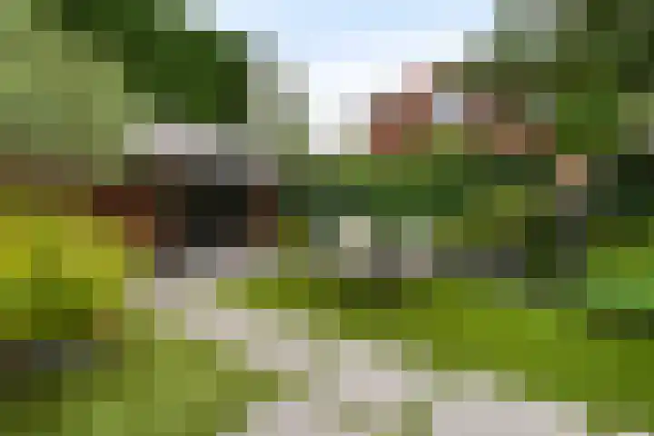 Hoflaan 118 's-Gravenzande thumbnail 36