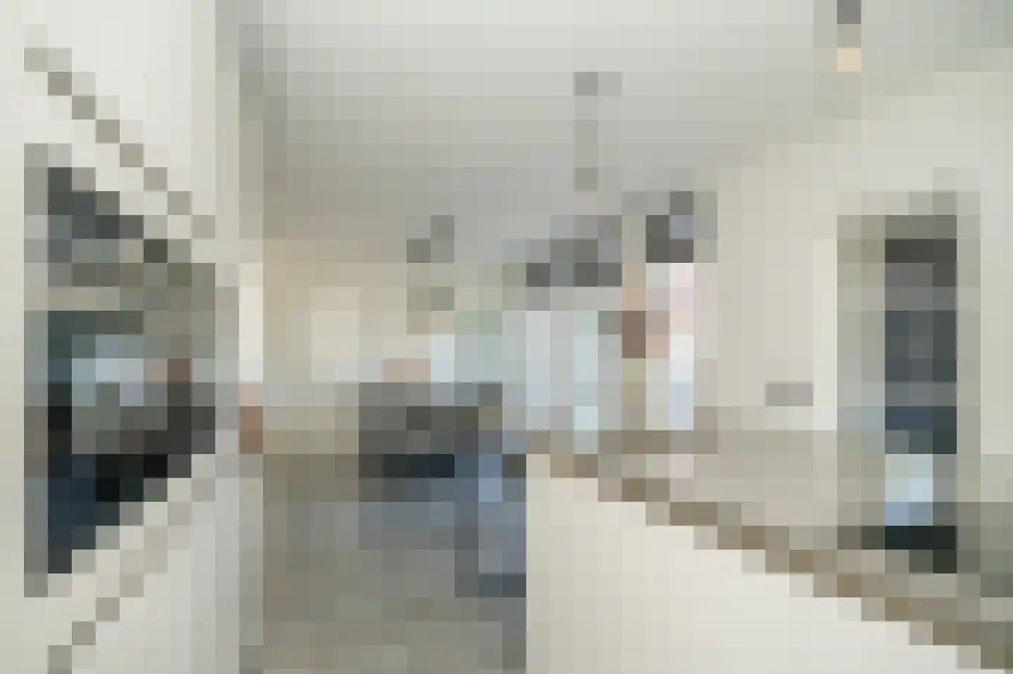 Hoflaan 12 Maasbommel thumbnail 21