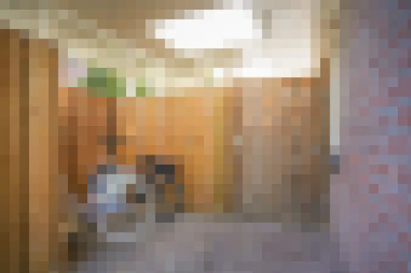 Hoflaan 12 Maasbommel thumbnail 58