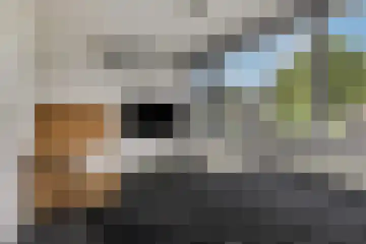 Hoflaan 13 Ede thumbnail 22