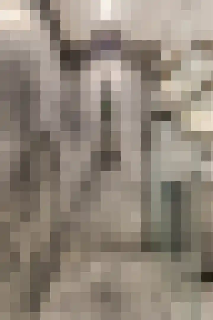 Hoflaan 13 Ede thumbnail 30