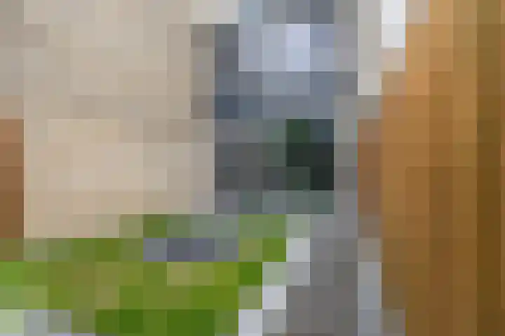 Hoflaan 13 Ede thumbnail 35
