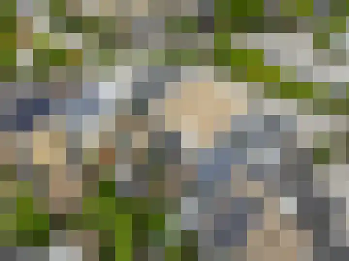 Hoflaan 13 Ede thumbnail 45