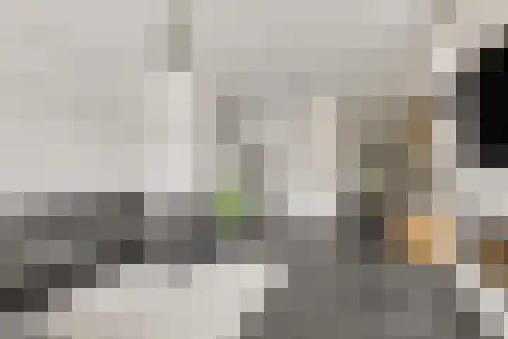 Hoflaan 13 Ede thumbnail 7