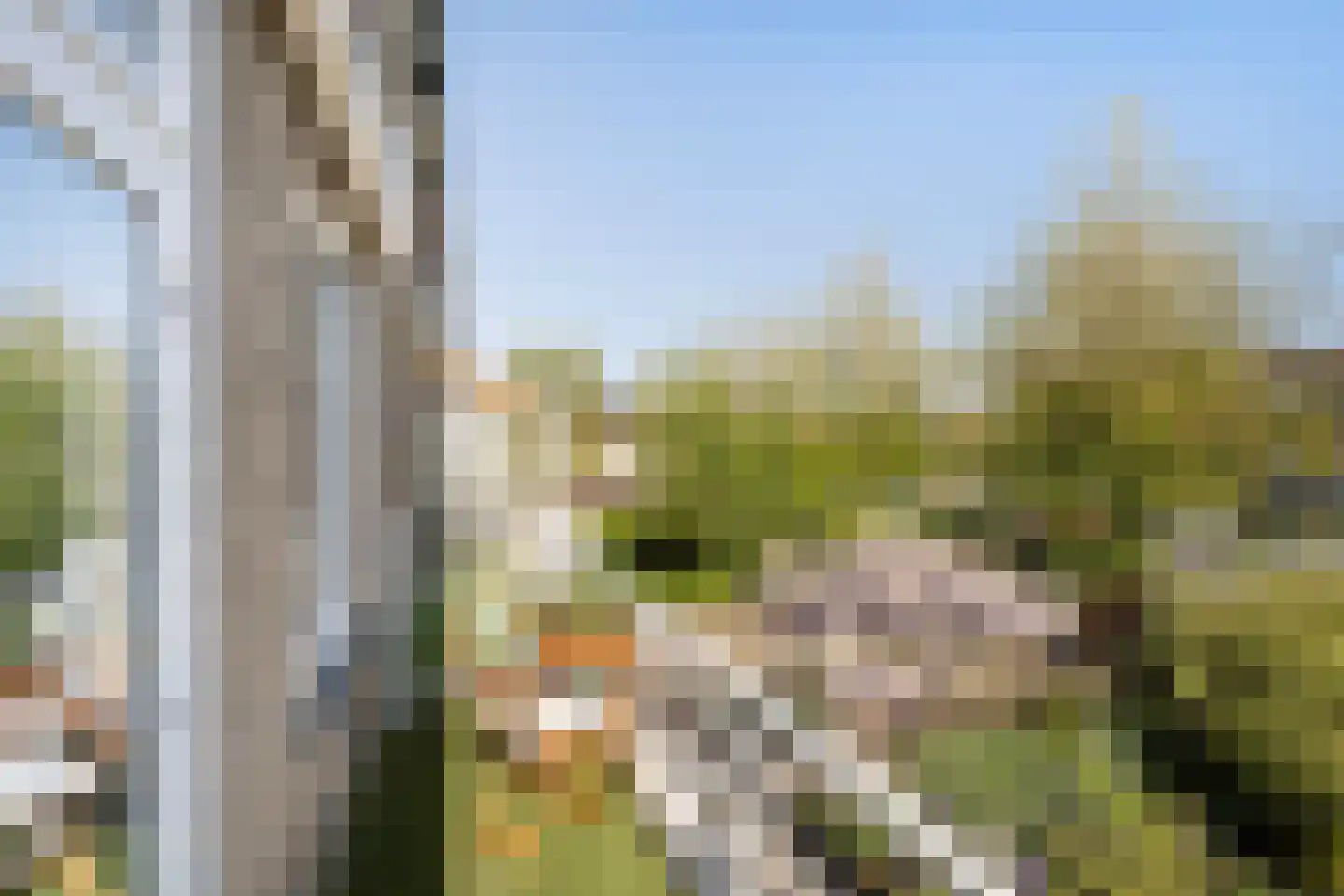Hoflaan 13 's-Gravenzande thumbnail 27