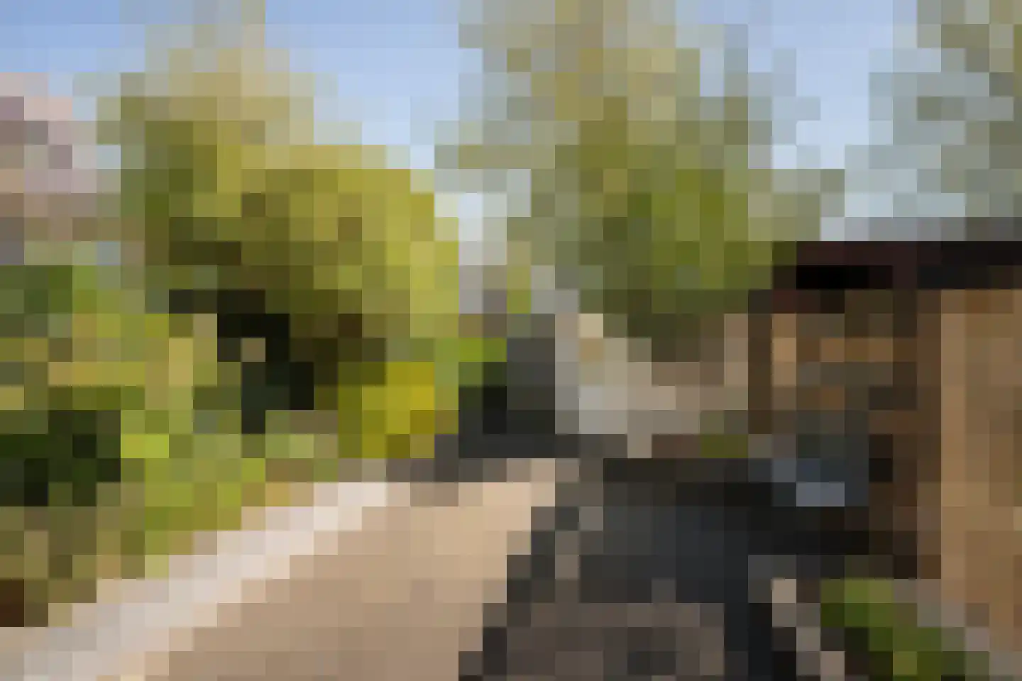 Hoflaan 13 's-Gravenzande thumbnail 32