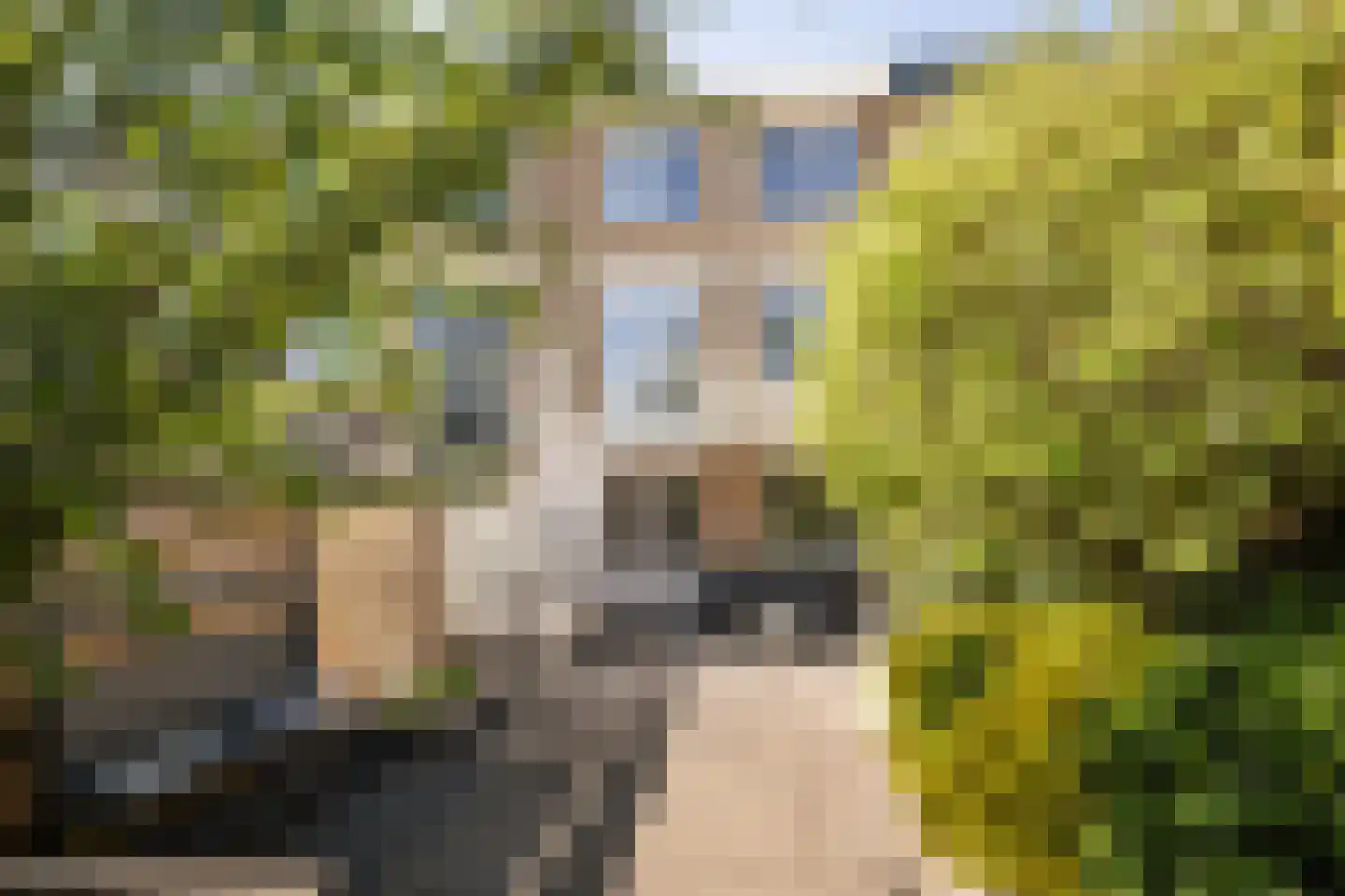 Hoflaan 13 's-Gravenzande thumbnail 7
