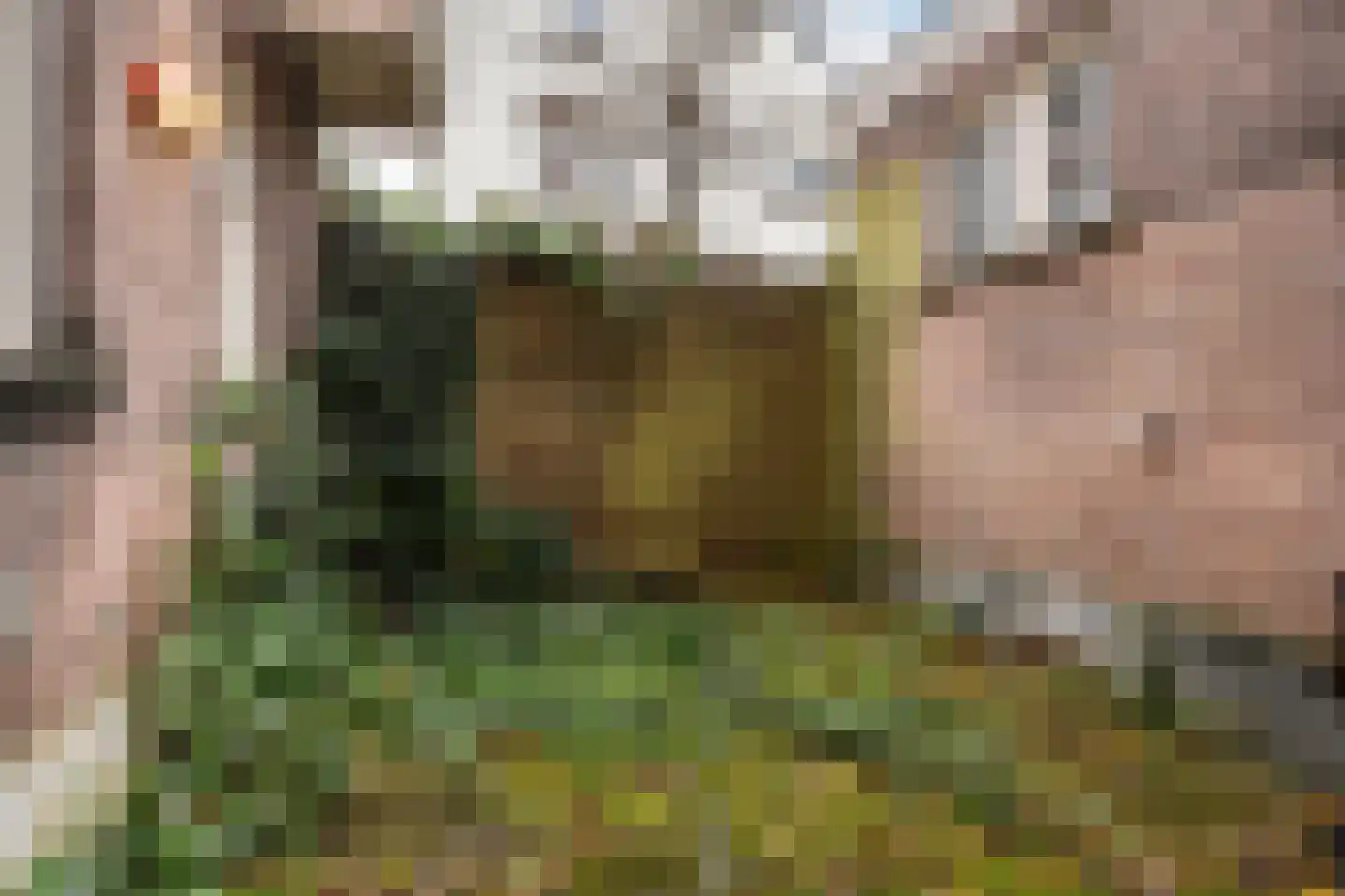 Hoflaan 134 Rotterdam thumbnail 8