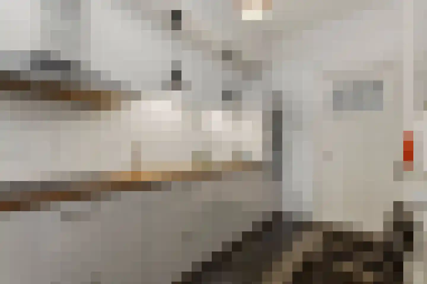Hoflaan 14 Arnhem thumbnail 14