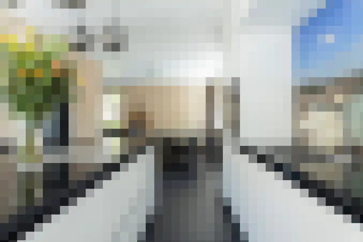 Hoflaan 14 Maasbommel thumbnail 17