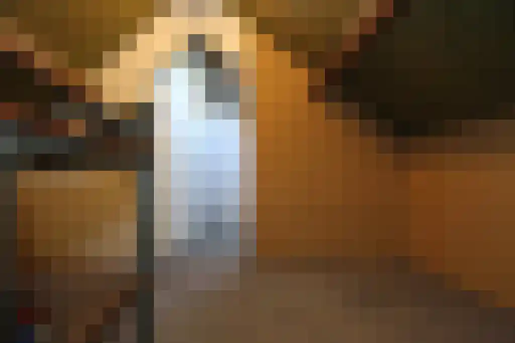 Hoflaan 14 Maasbommel thumbnail 24