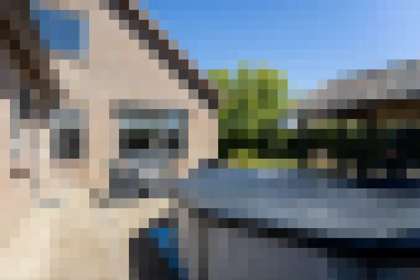 Hoflaan 14 Maasbommel thumbnail 41