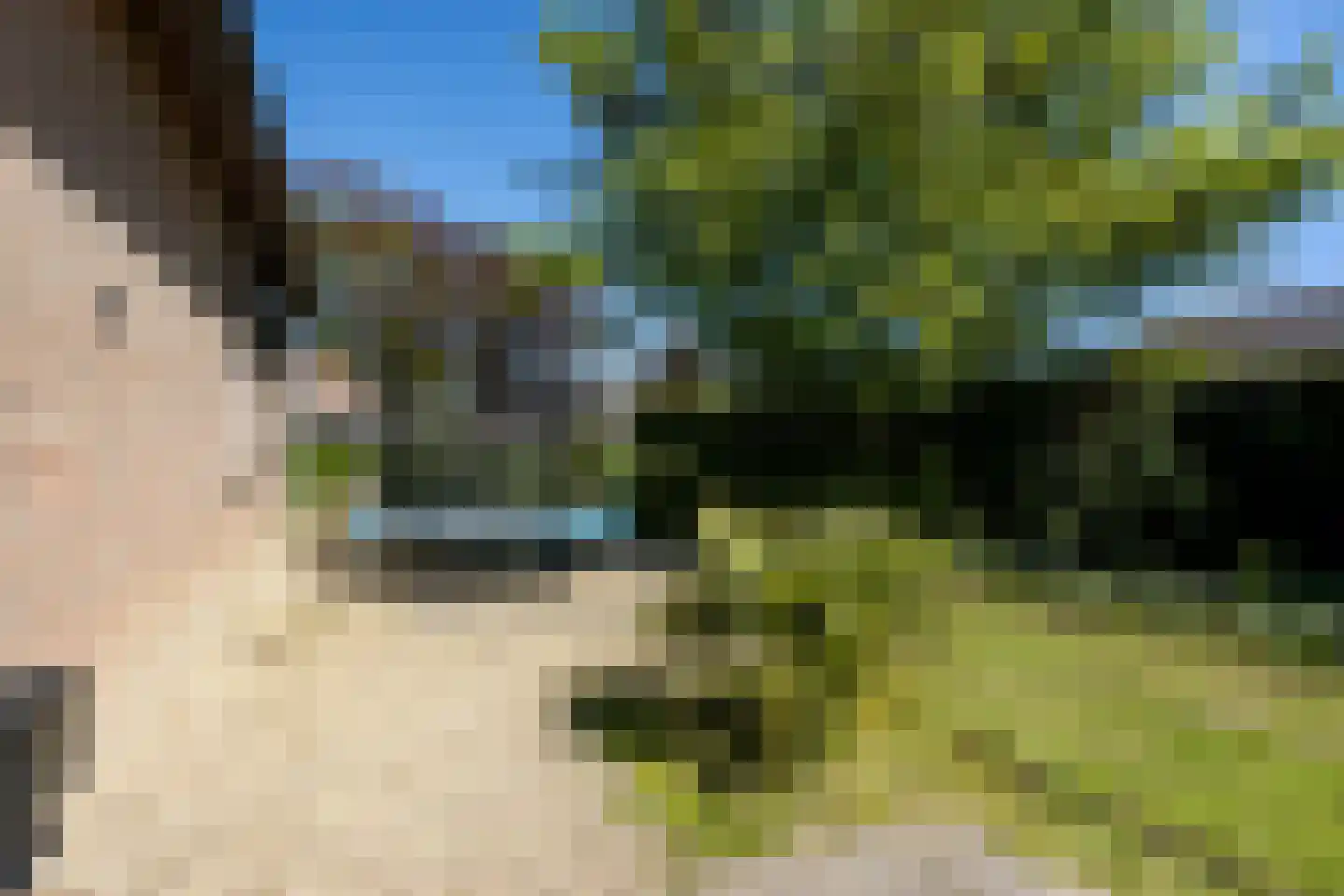 Hoflaan 14 Maasbommel thumbnail 45