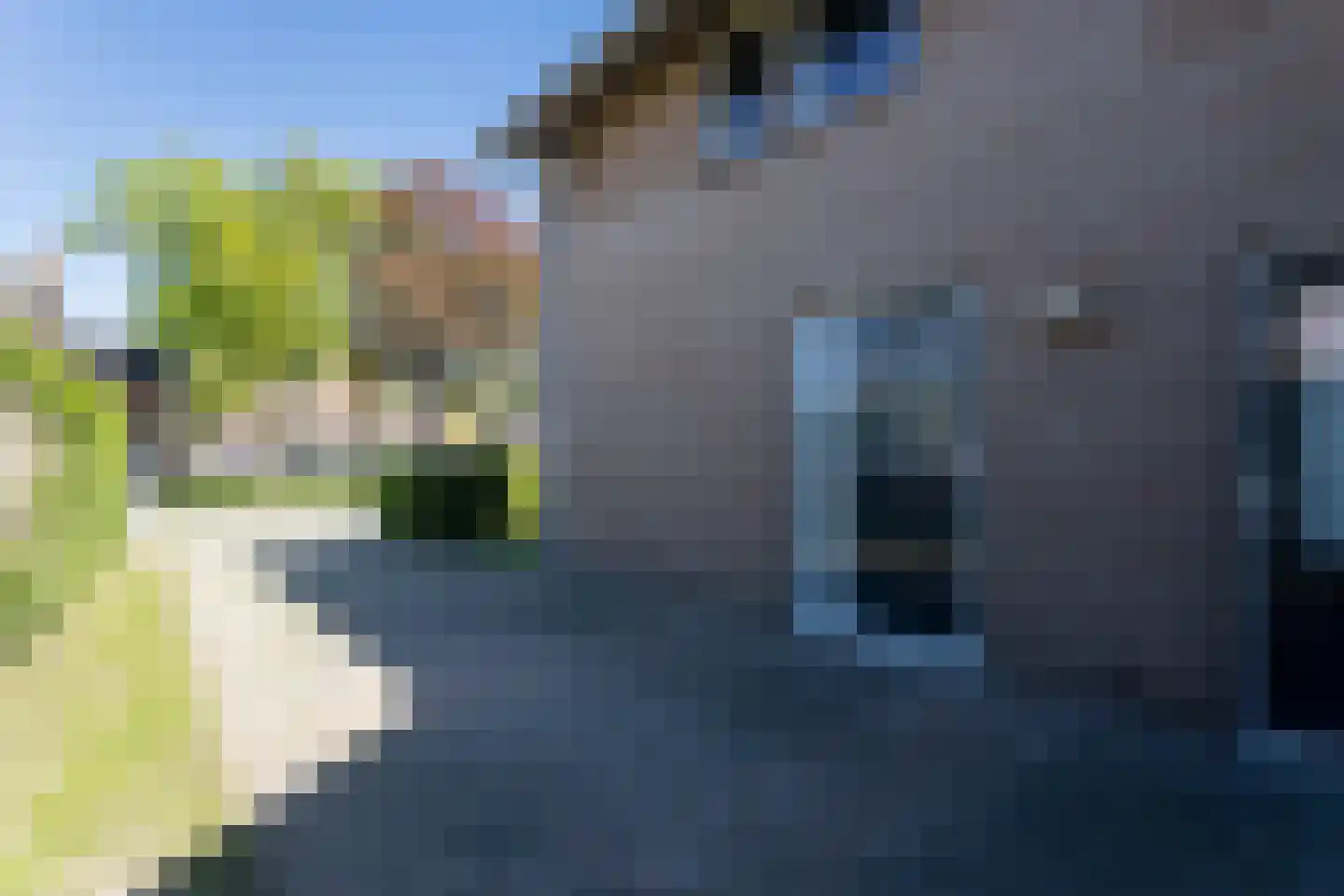 Hoflaan 14 Maasbommel thumbnail 47