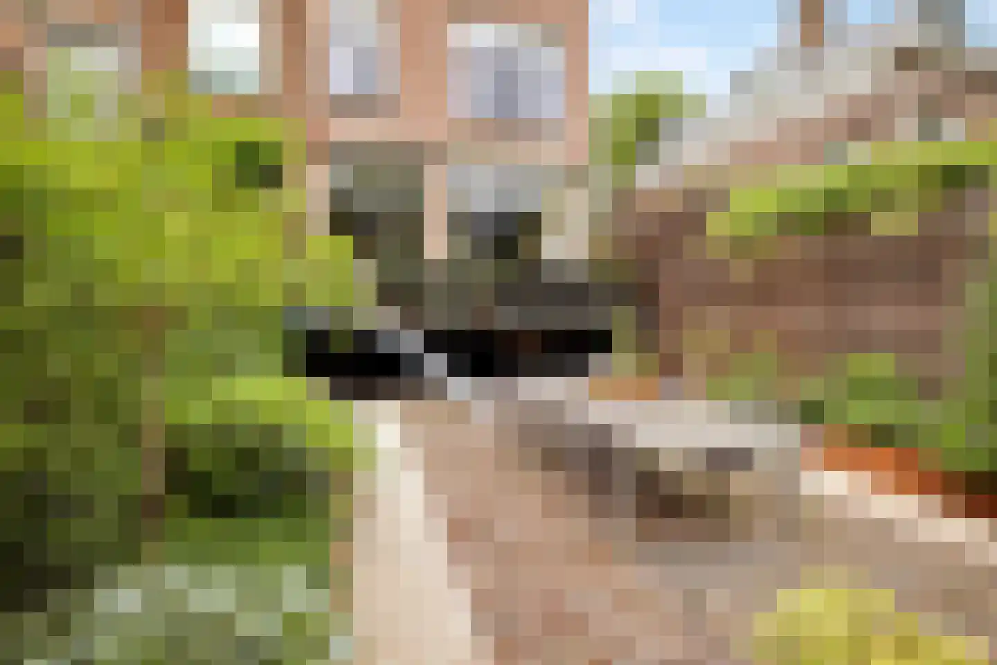 Hoflaan 14 Rotterdam thumbnail 10